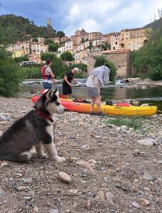 Faire du canoë avec son chien sur l'Orb