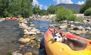 FAIRE DU CANOE AVEC SON CHIEN ?